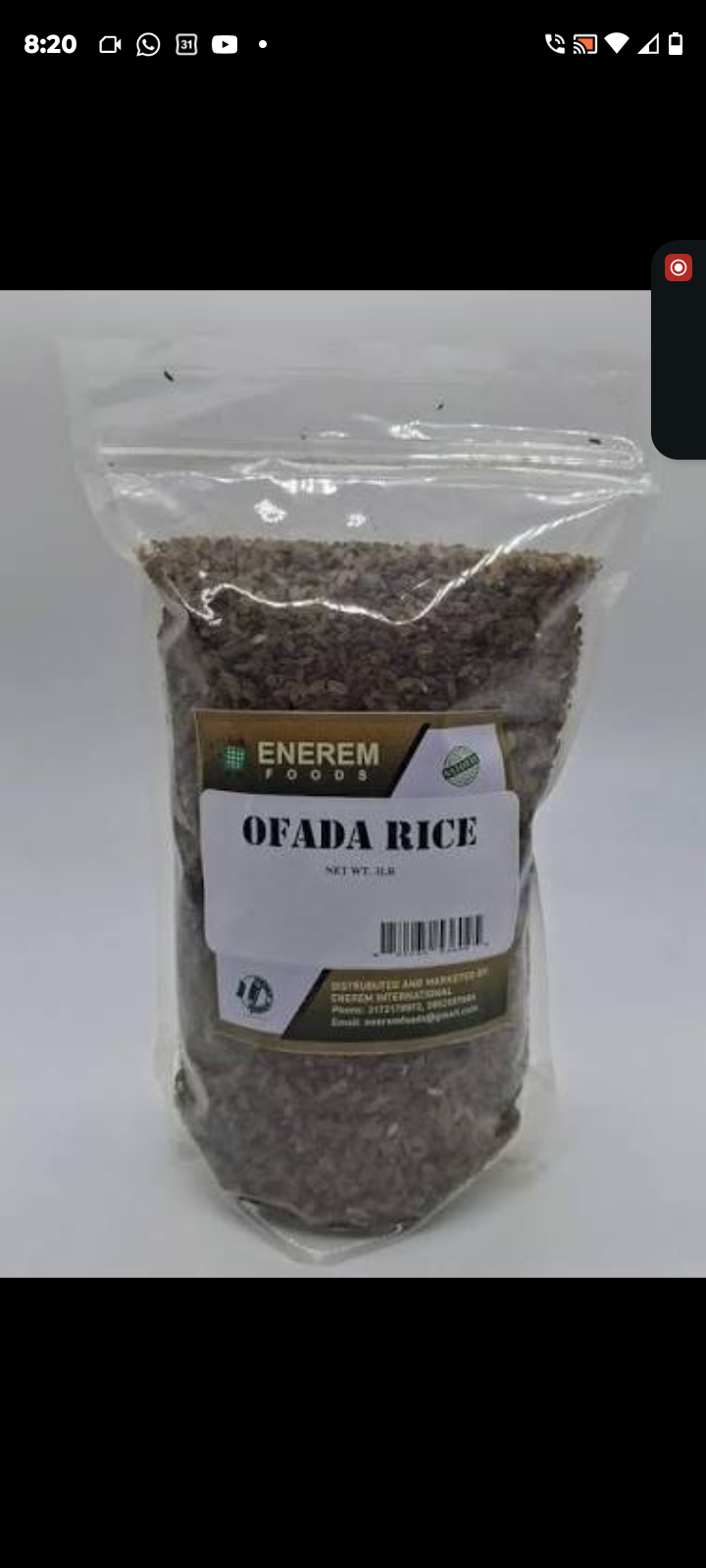 Rice